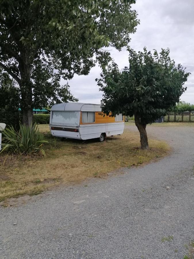 Rangiora Eco Holiday Park Fernside 외부 사진